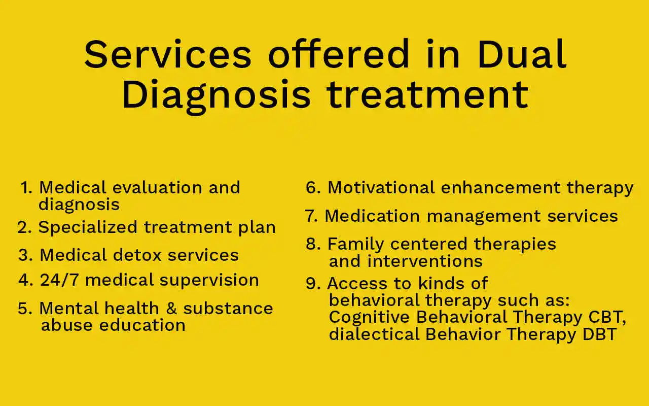 services offered in dual diagnosis treatment