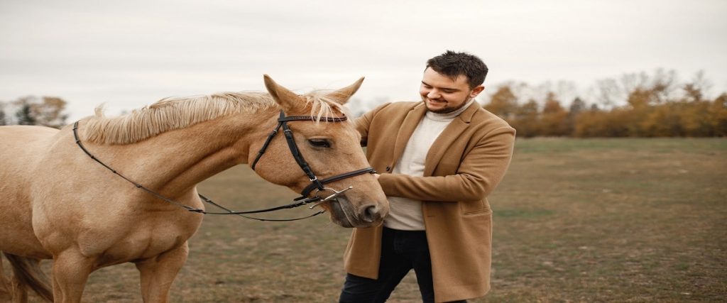 benefits of equine assisted