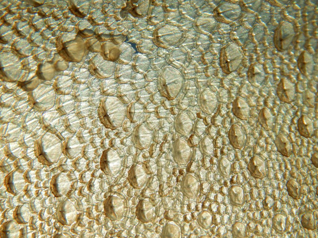 Fish Scale Cocaine - Alt Text
