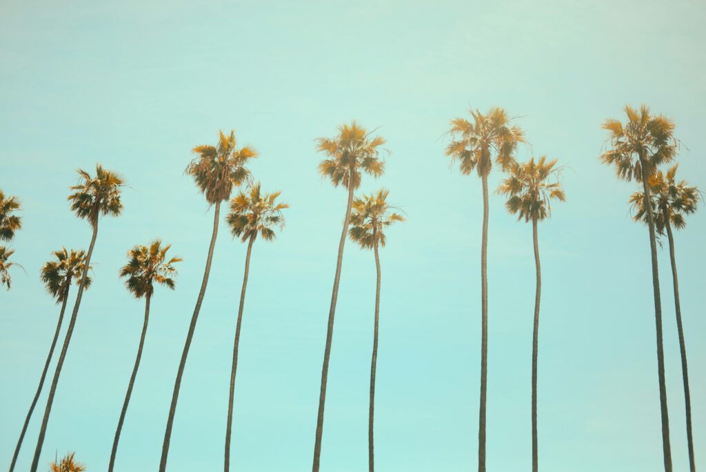 Free Drug Rehab In California - Alt Text