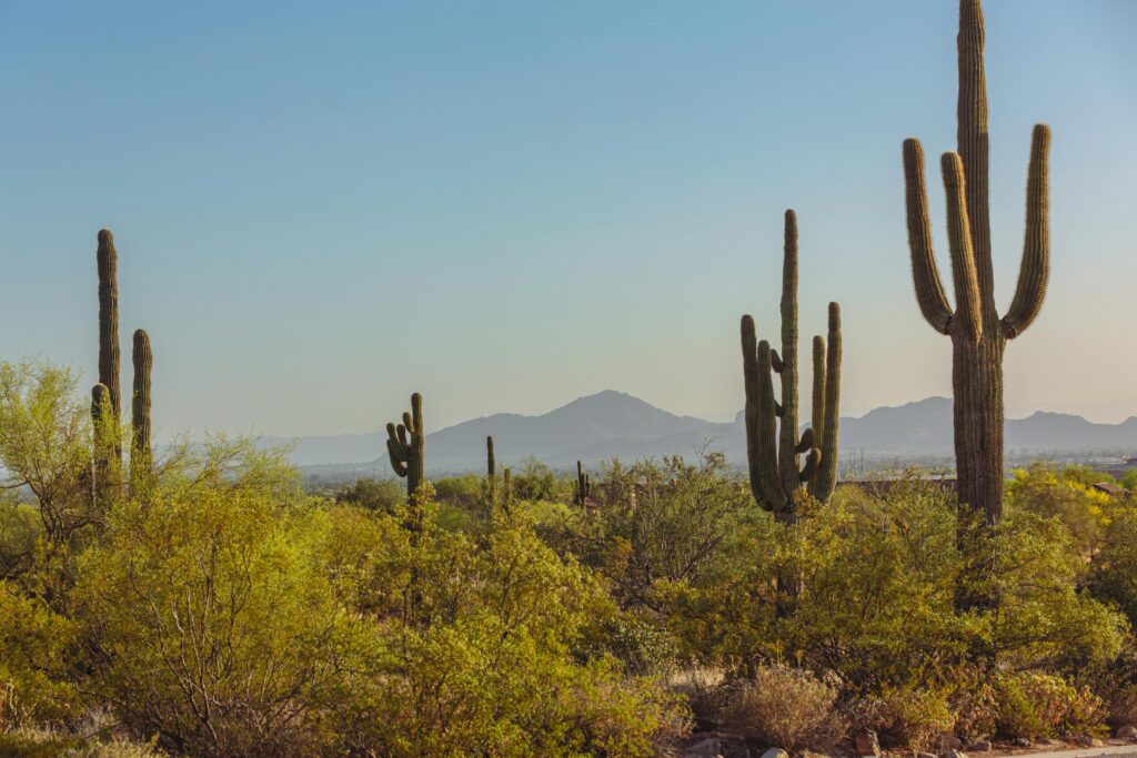 Free Drug Rehab In Arizona - Alt Text