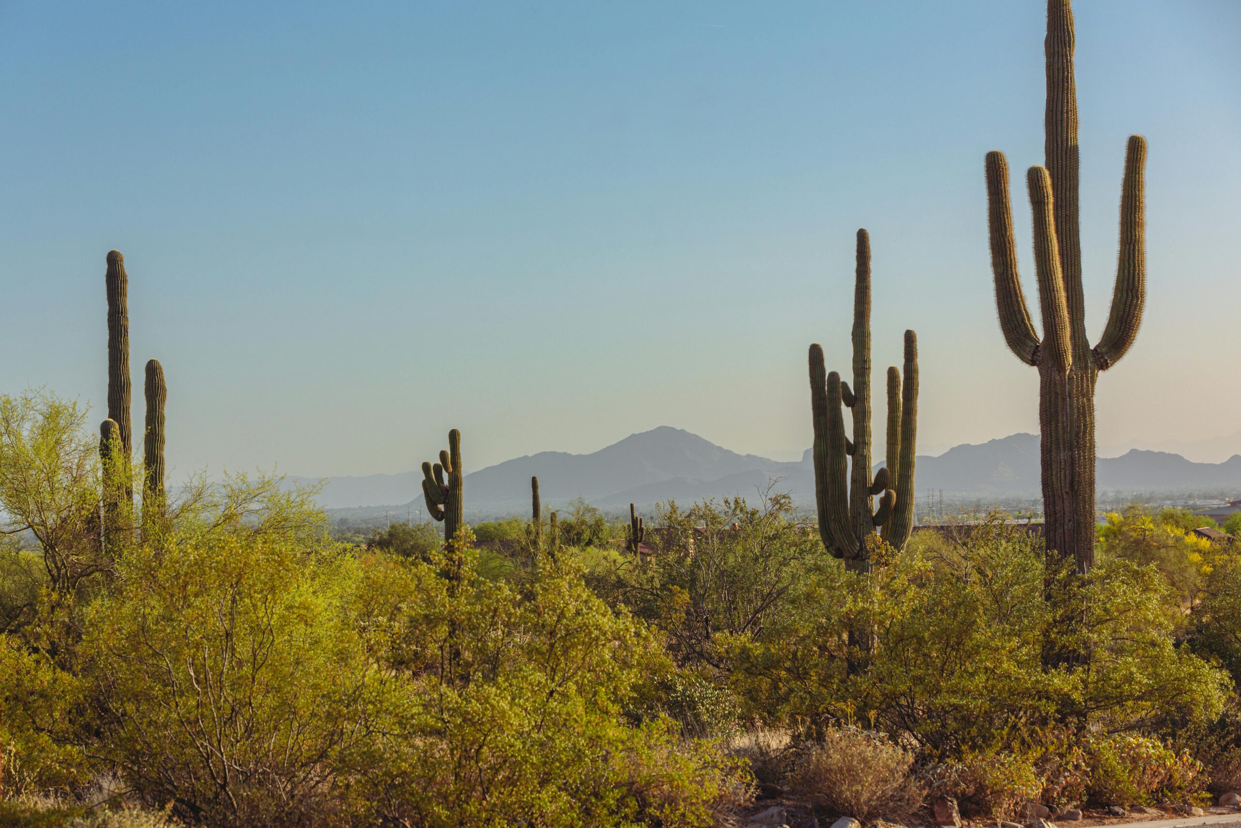 Free Drug Rehab In Arizona - Alt Text