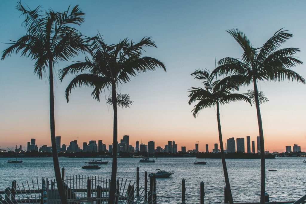 Free Drug Rehab In Florida - Alt Text