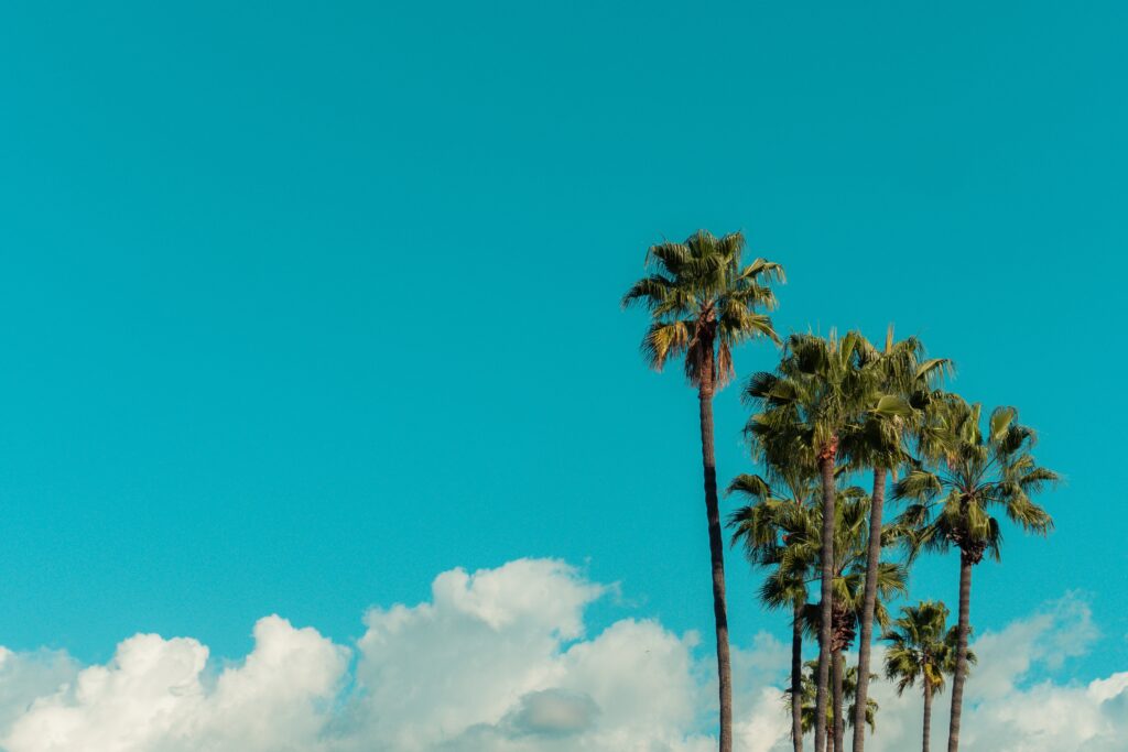 Chatsworth Drug Rehab