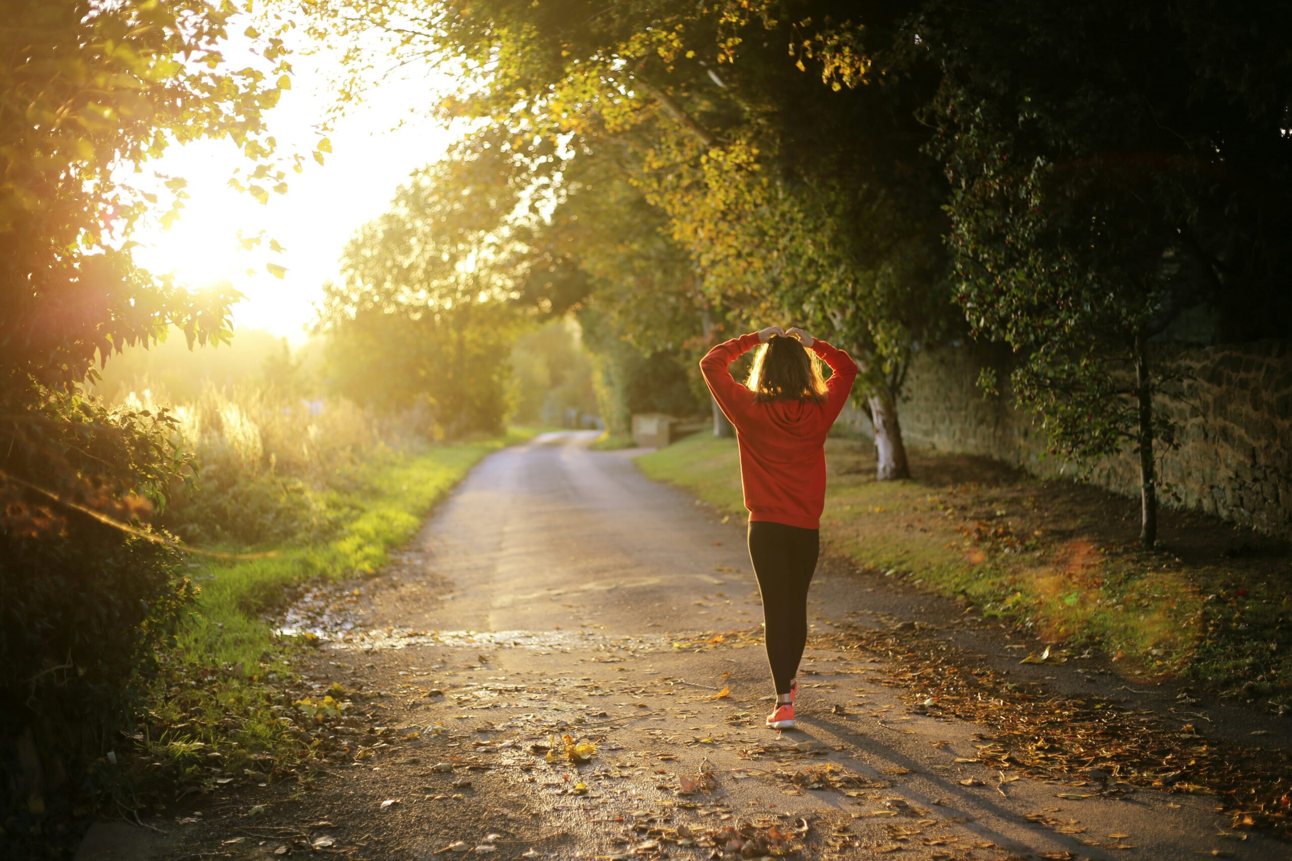 What to Expect from Drug Rehab - Alt Text